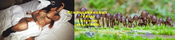 ALPHA-PVP Богородск