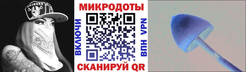 Галлюциногенные грибы Psilocybe Гудермес