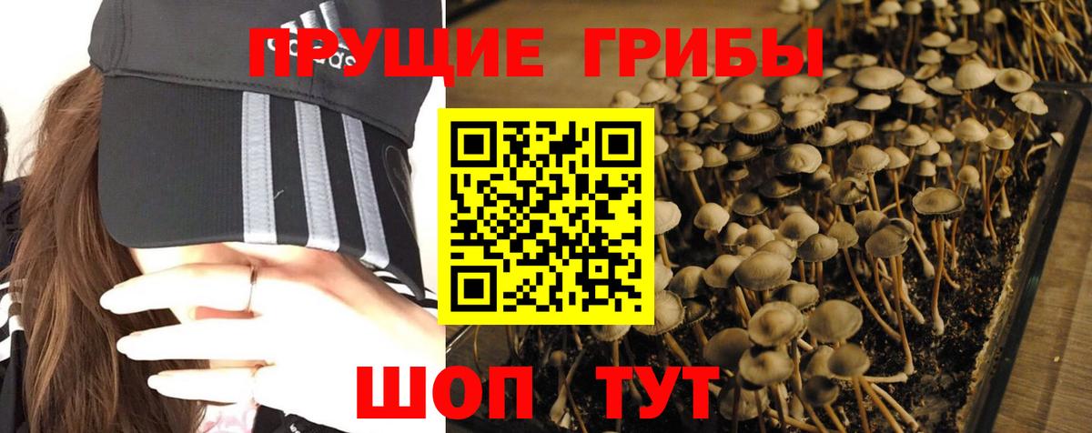 Гудермес  Псилоцибиновые грибы мухоморы  наркота  Вход с VPN  Галлюциногенные грибы прущие грибы 